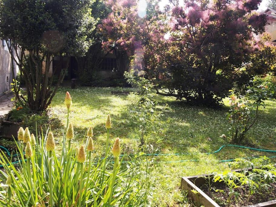 Le 7 Des Tonneliers Bed & Breakfast Castelfranc Dış mekan fotoğraf